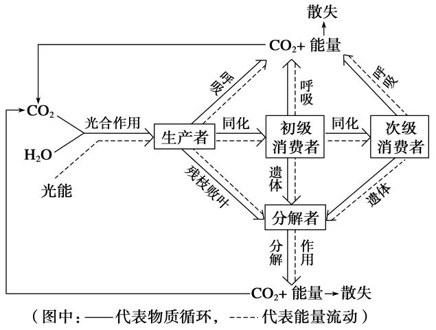 物質循環(huán)11.jpg